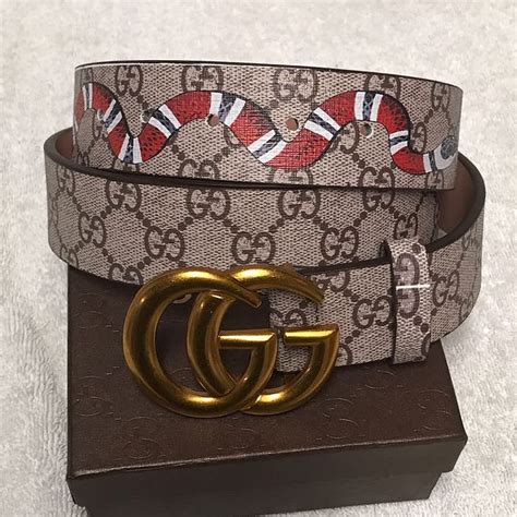 gucci glover belt|Gucci snake belt silver.